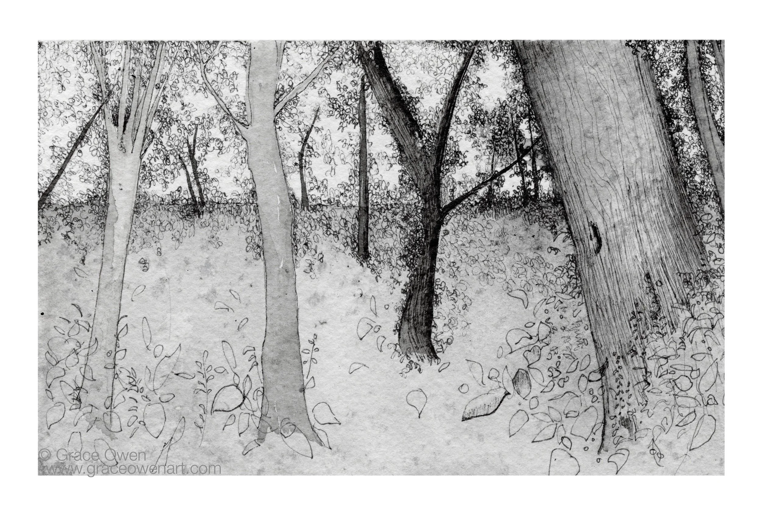 ForestDreaming+web.jpg