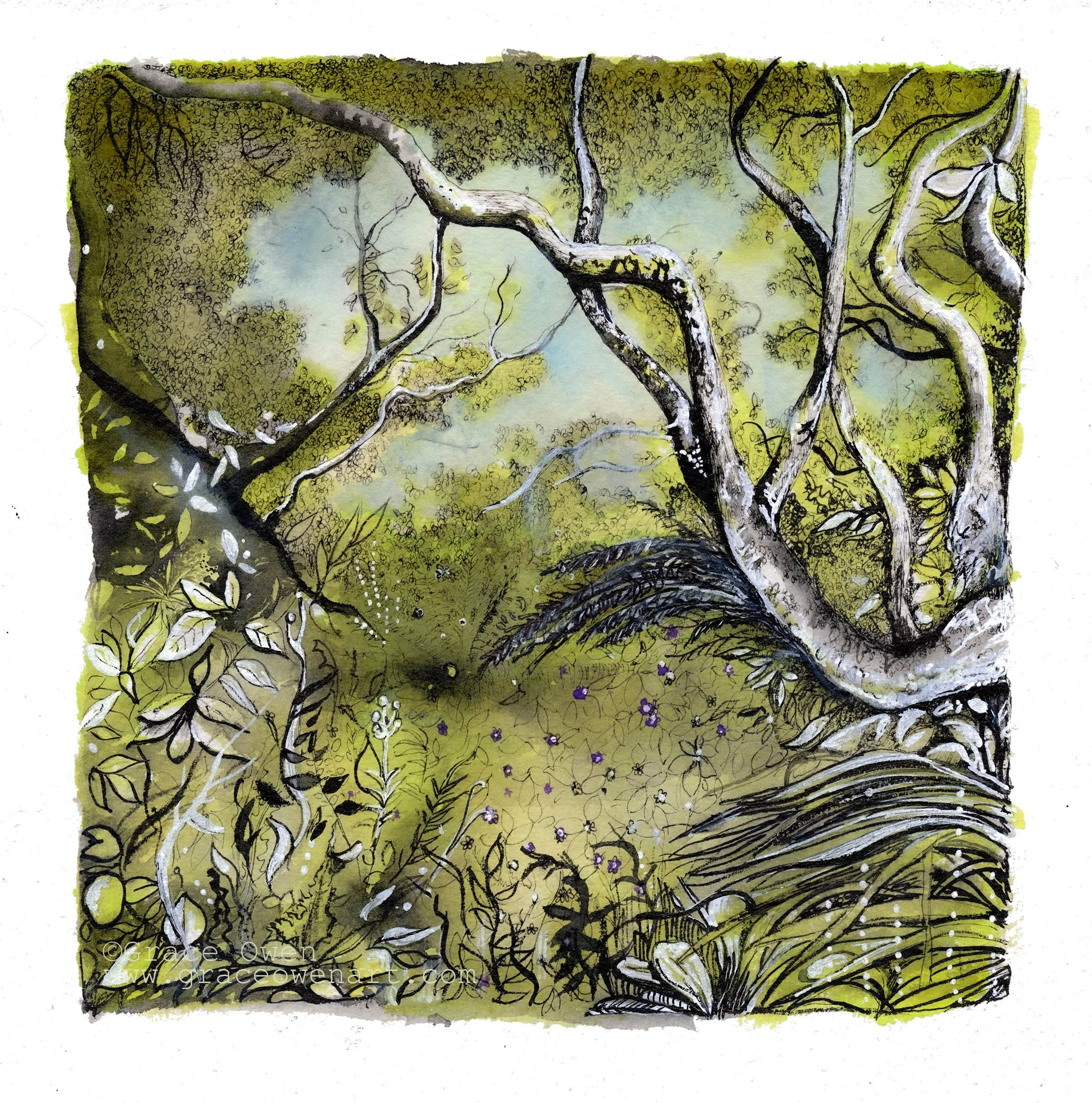 Kirkcudbright Garden Trees in Ink
