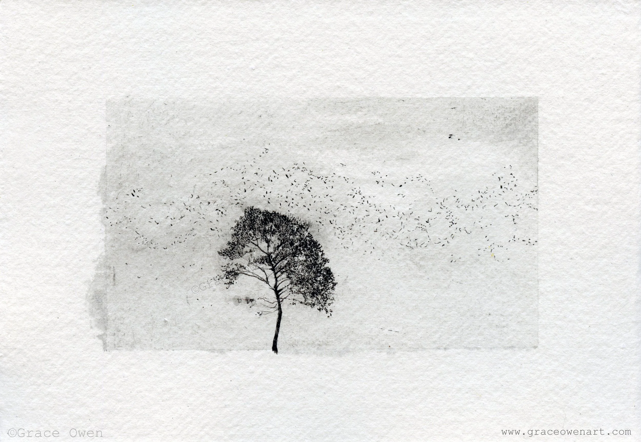 Murmuration Tree copy.jpg