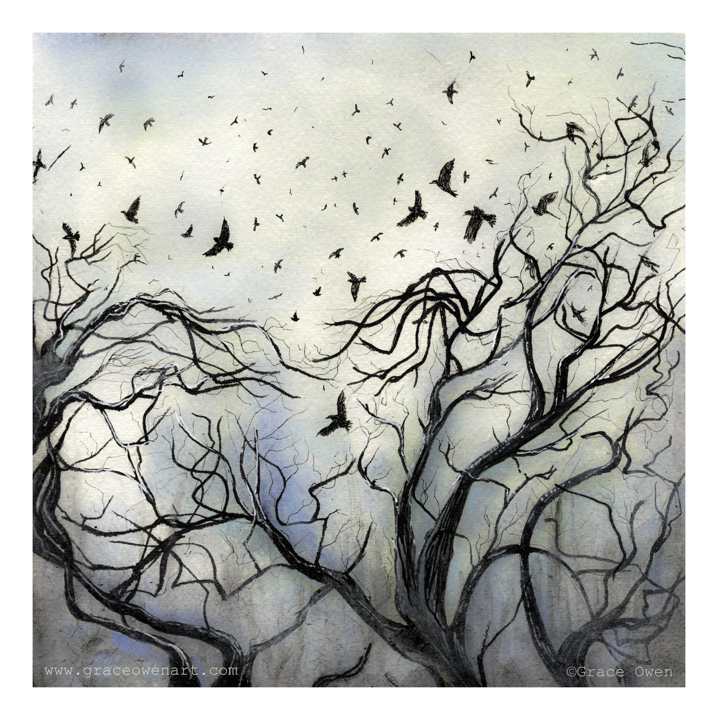 Ink & Watercolour - Murmuration