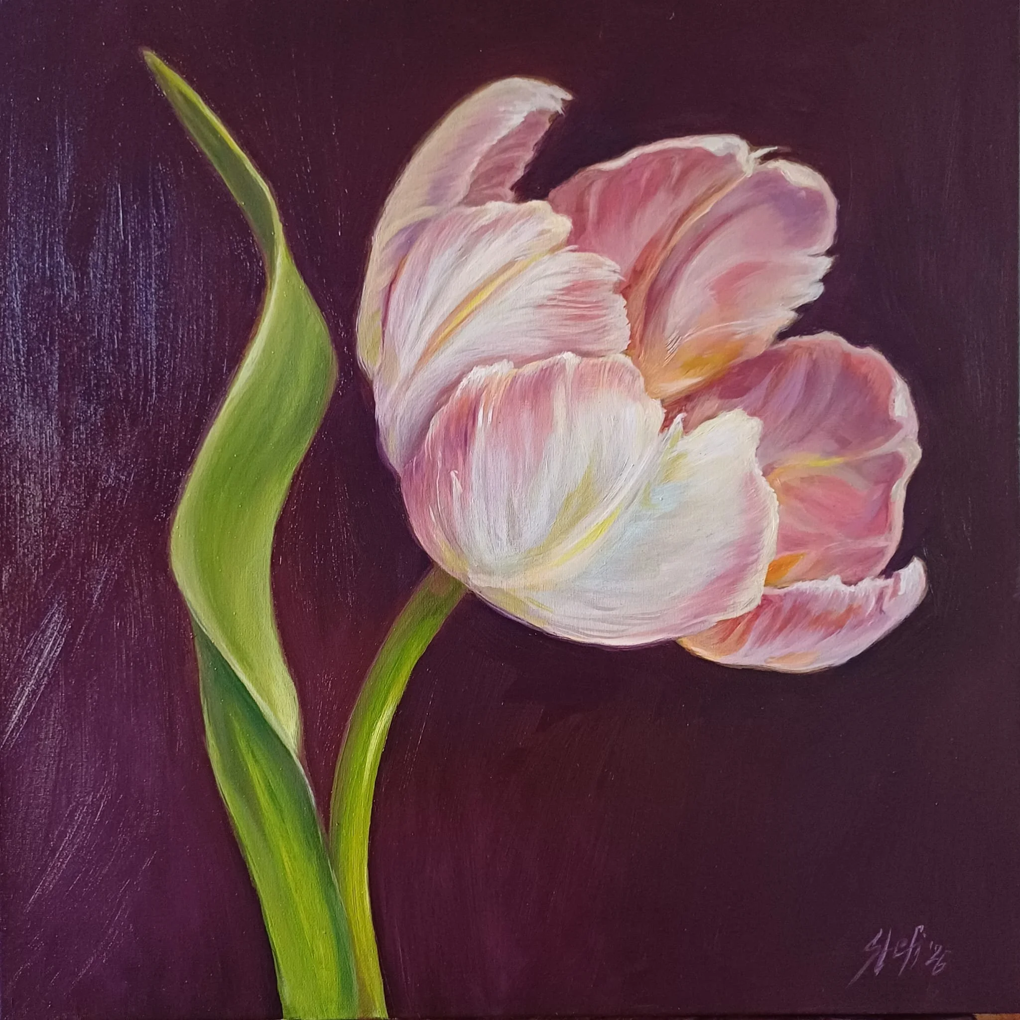 Portret van een Tulp II