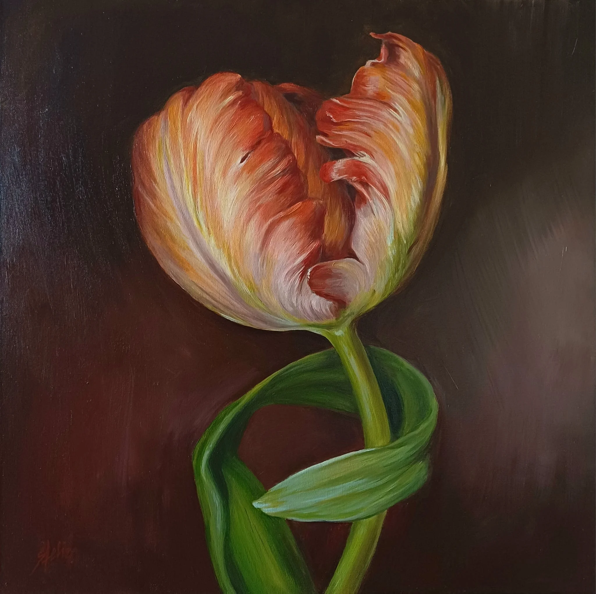 Portret van een Tulp I