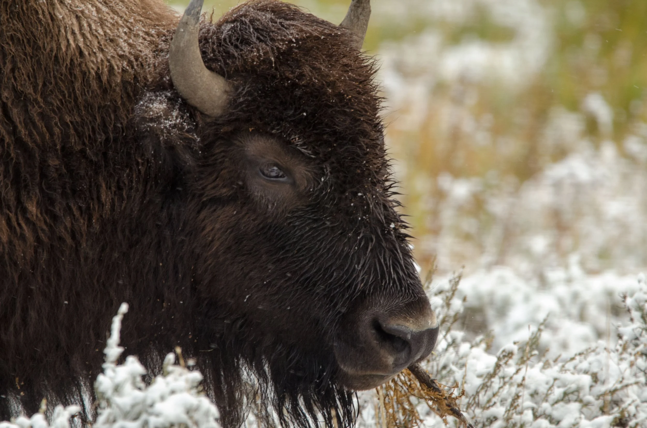 The Importance of Distance