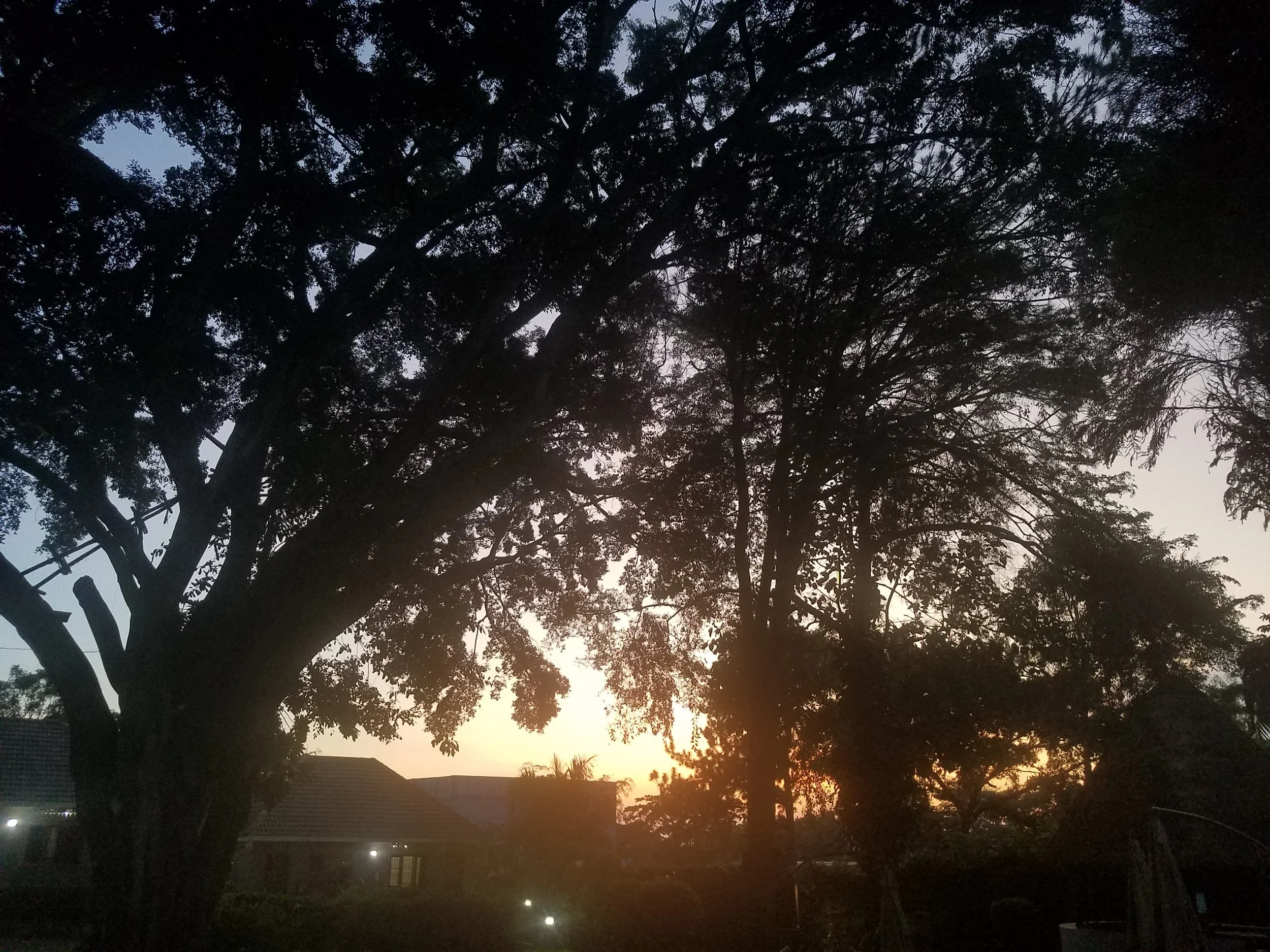 Kenya 2019: A Plan Comes Together