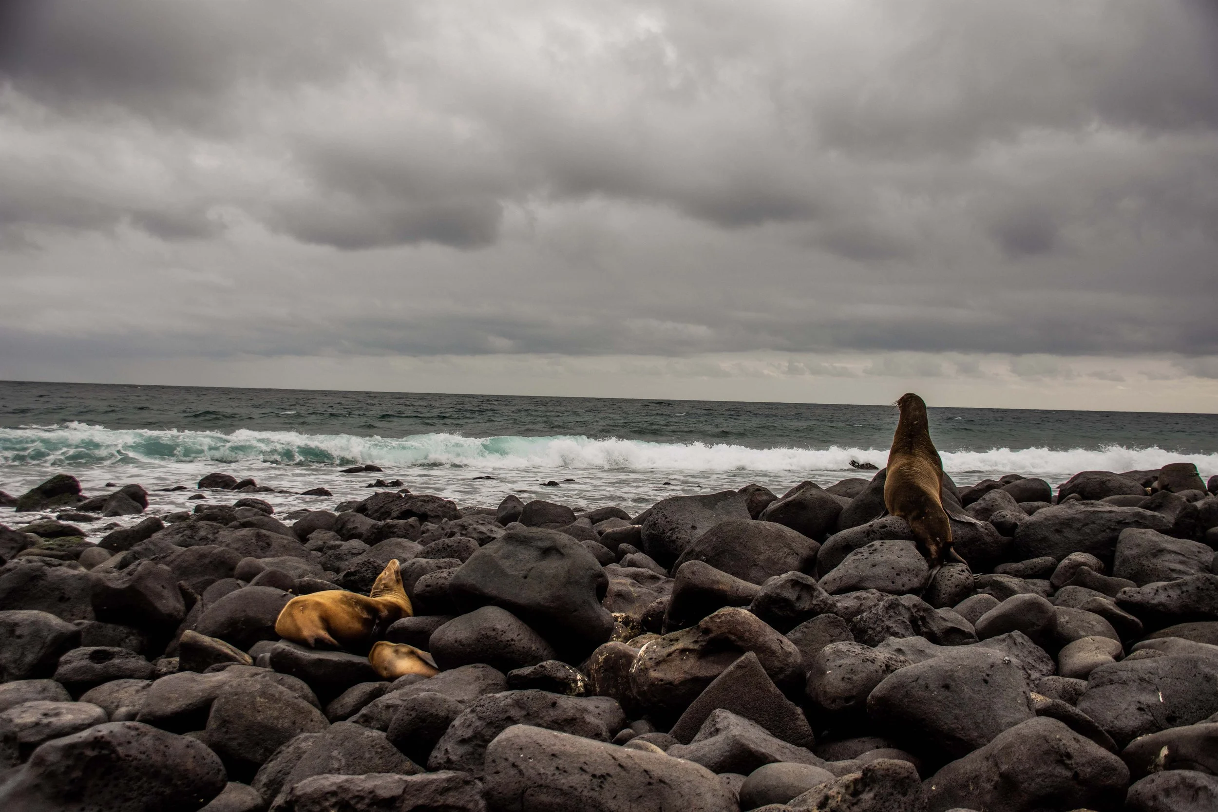 Galápagos: San Cristóbal