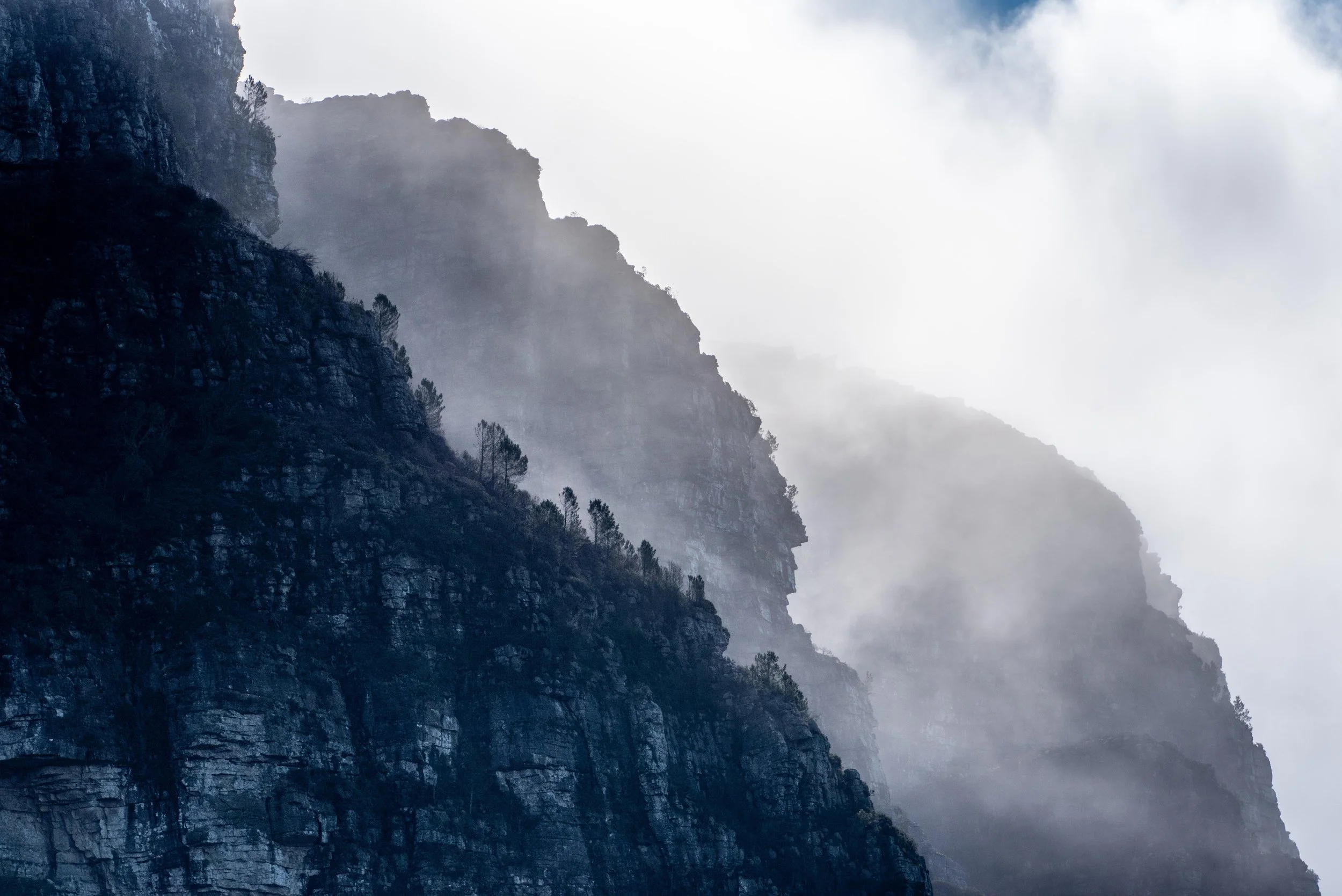 South Africa: Kirstenbosch