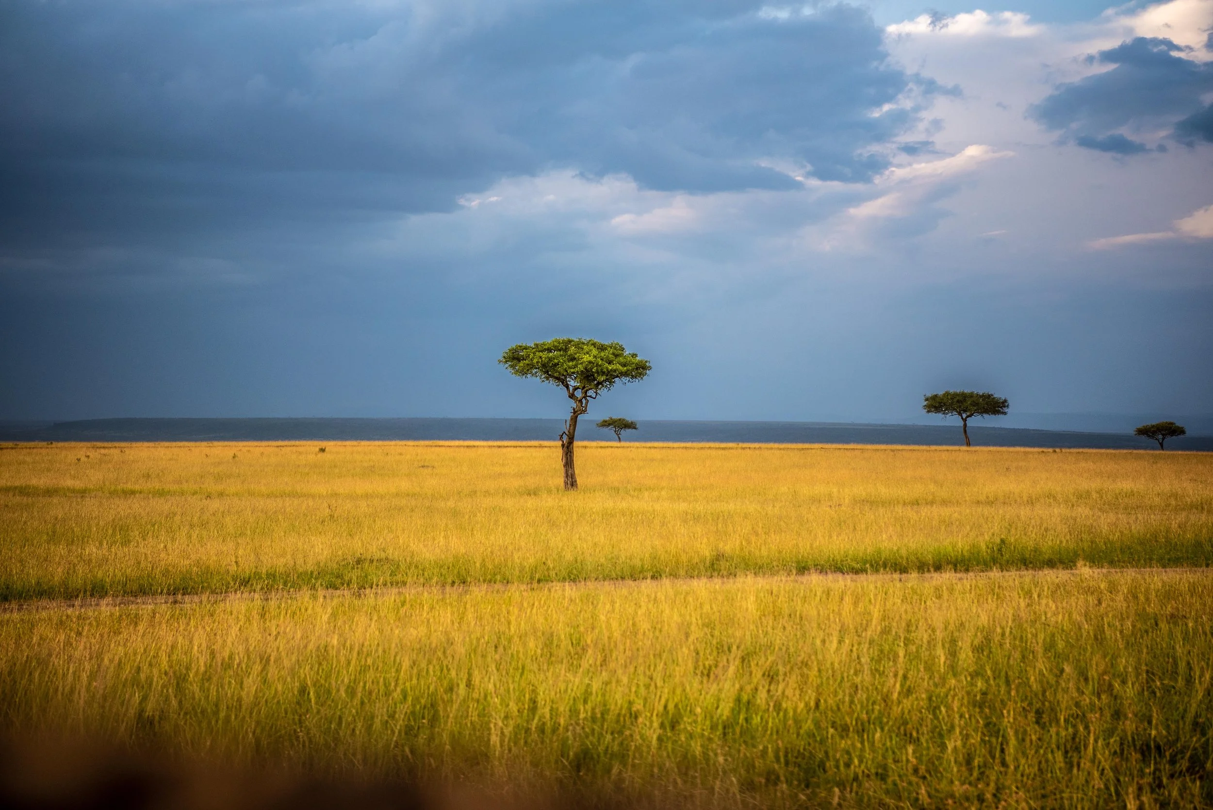 Kenya 2023: Chapter 34 – Shrinking World