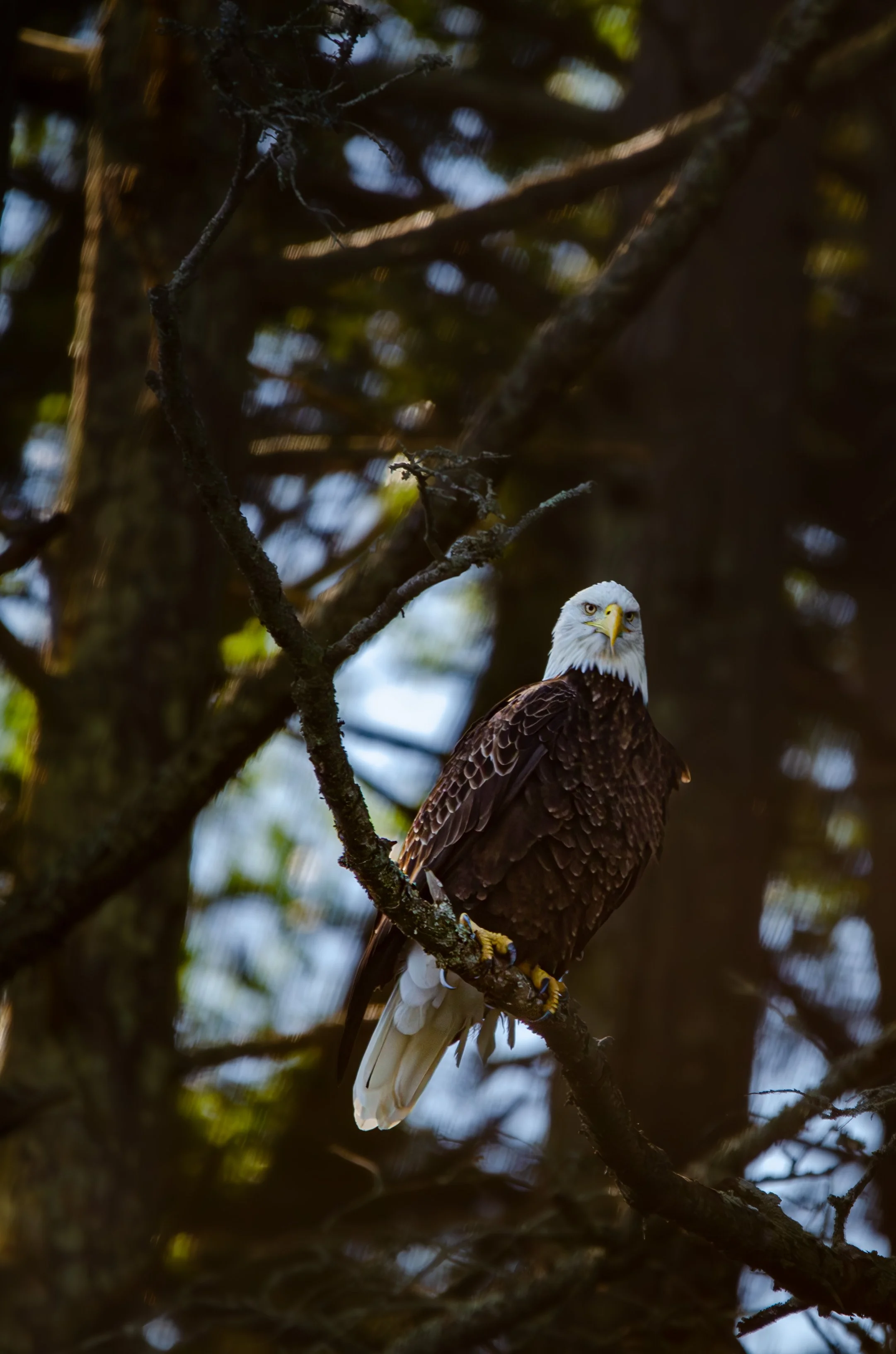 DSC_2665.jpg