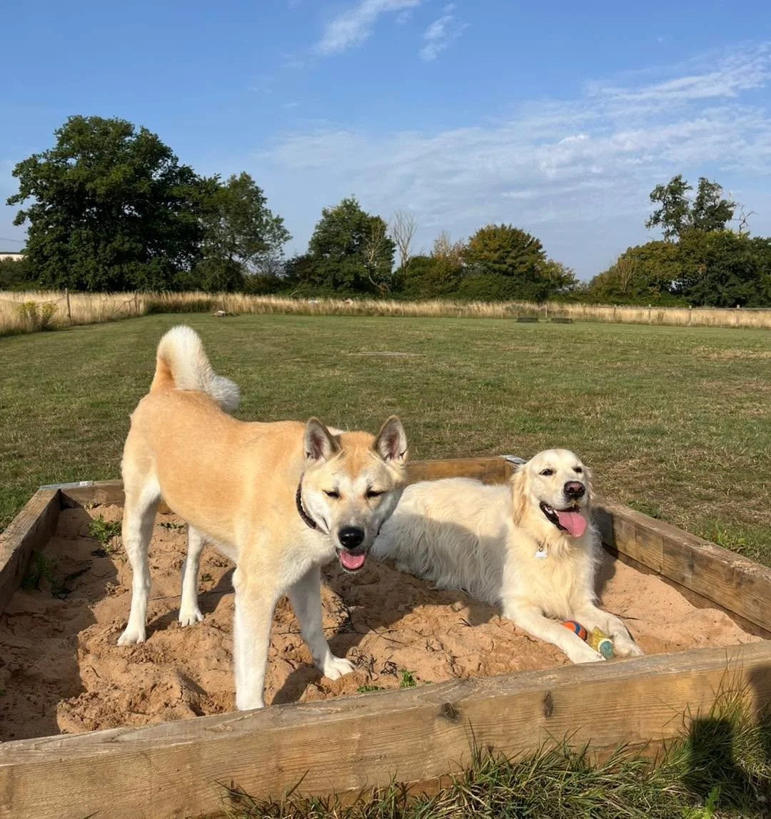 Summer Fun☀️⛱️