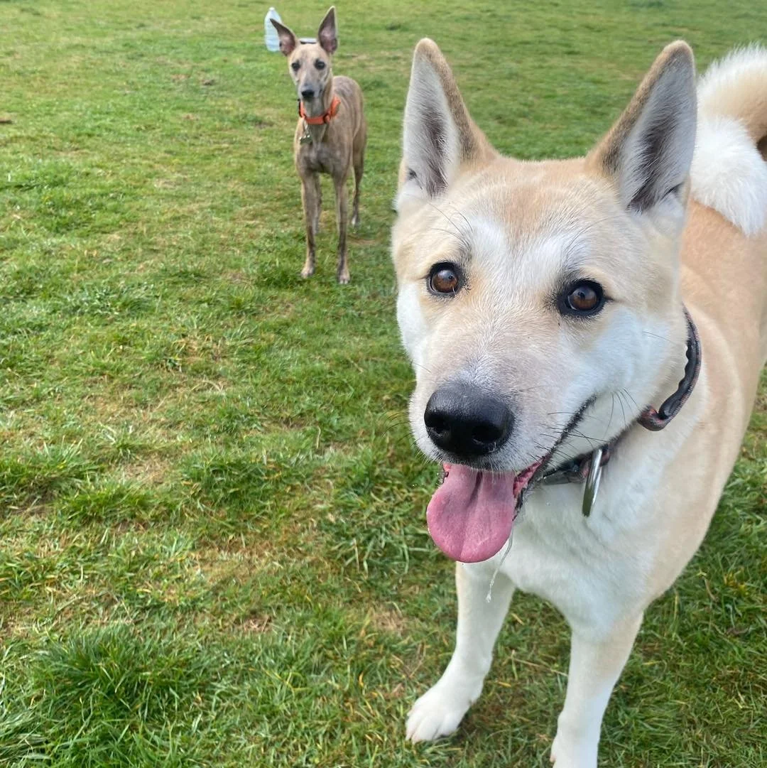 Some pics from this week📸