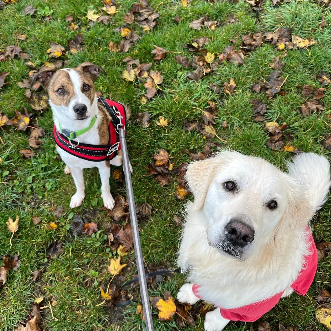 Autumn Adventures!🍂