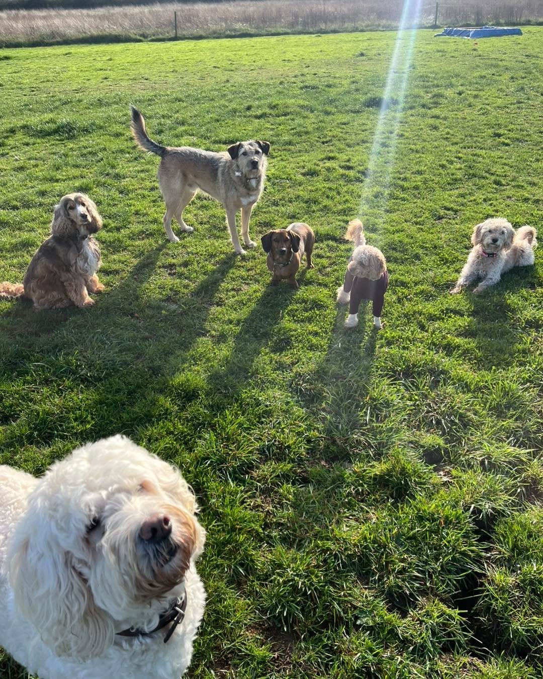 Some 📸 from this week!