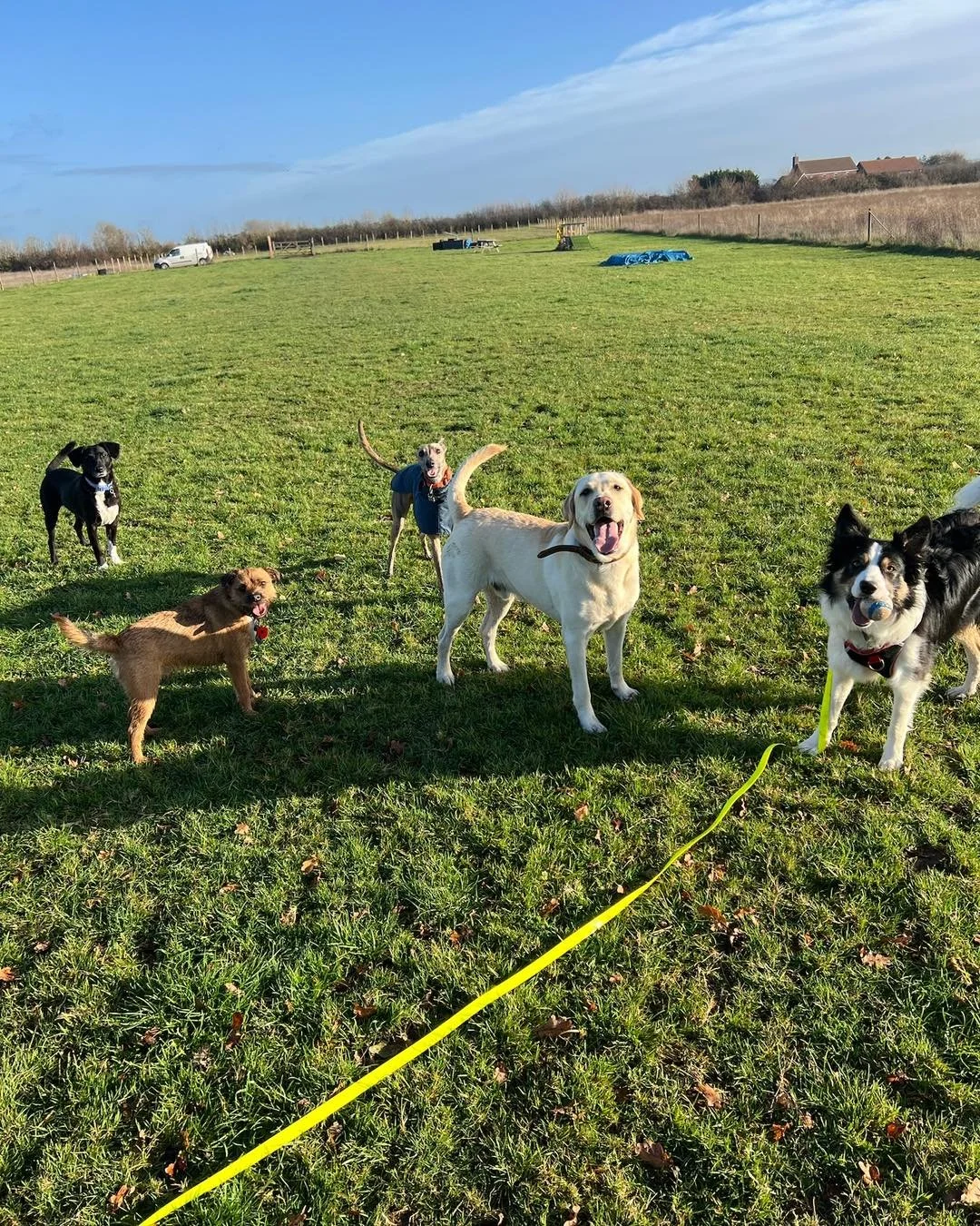 November recap❄️