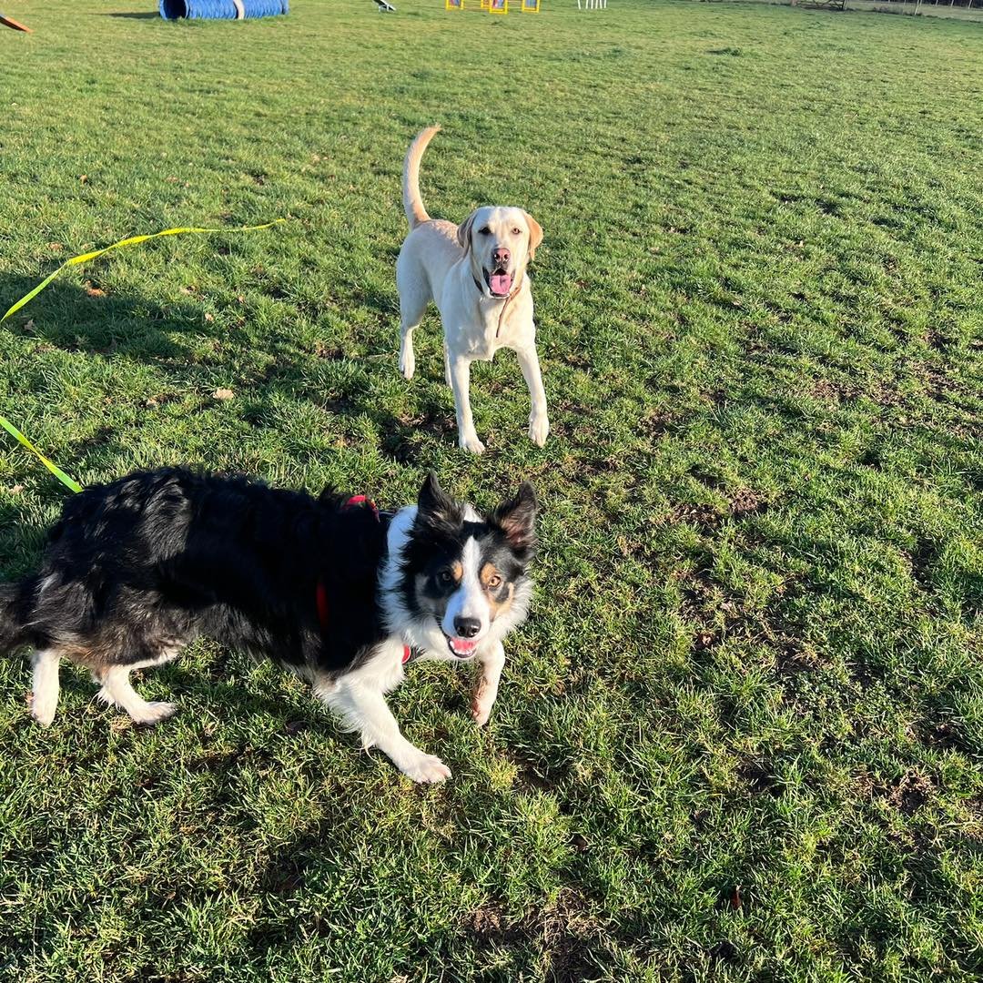 Some of the cheeky faces we&rsquo;ve seen this week🤪