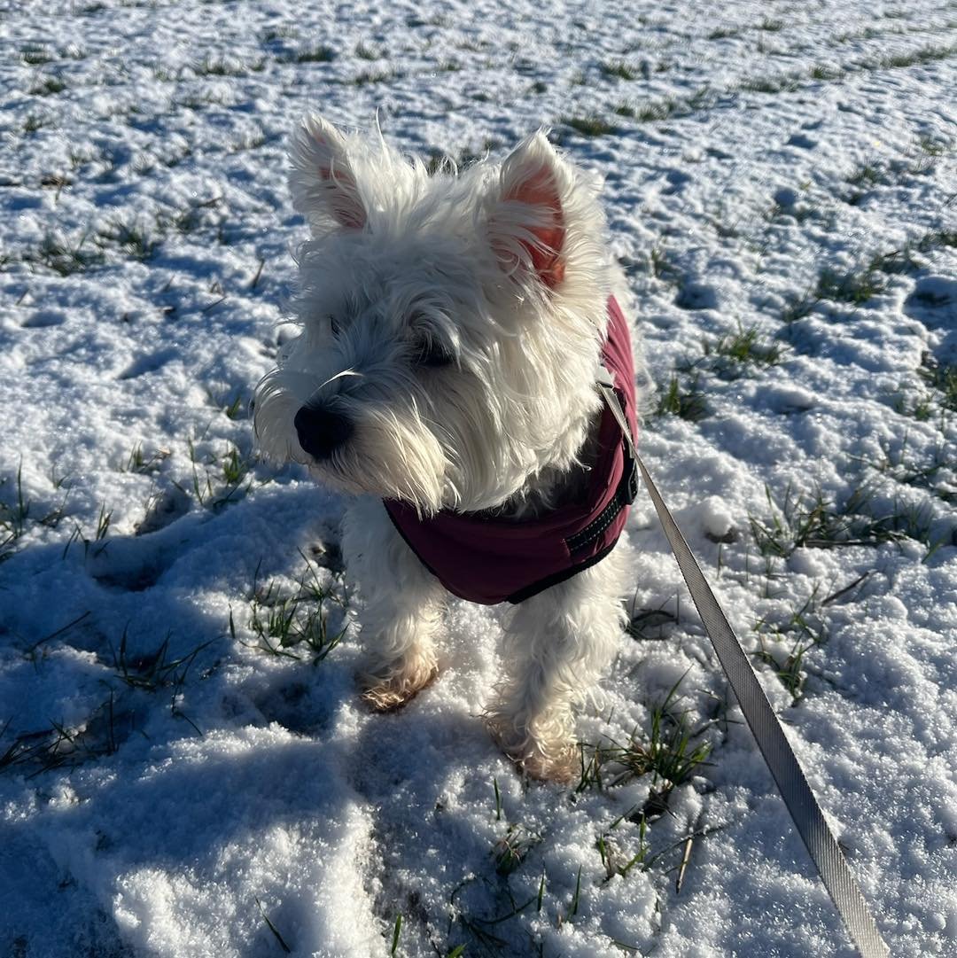 It&rsquo;s been a great start to 2026!❄️