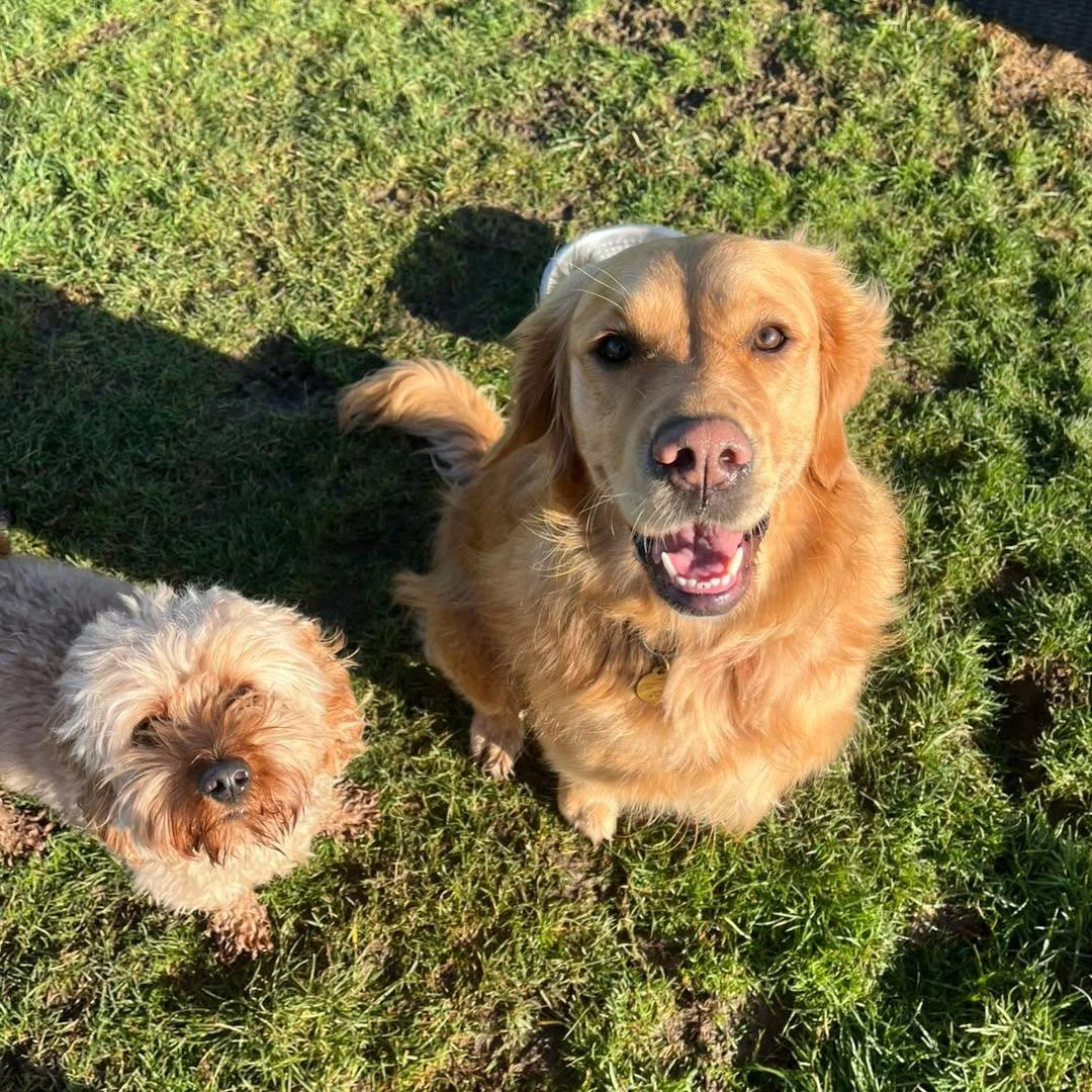 Some cute faces from this week🥰