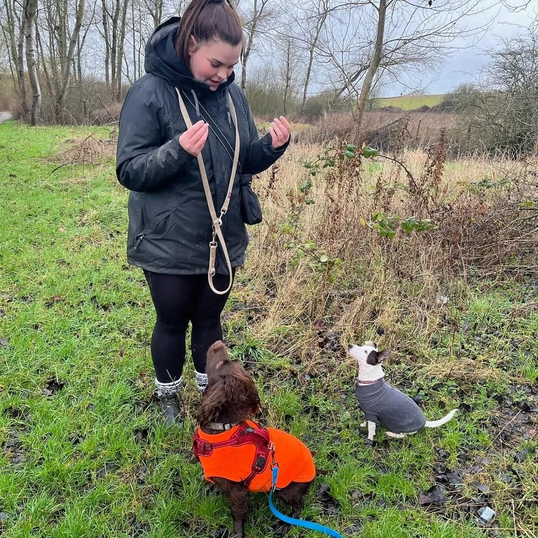 Welcome Isla to the pack!🐾

Isla has joined the Absolutely Barking family to support with group play sessions and adventure walks!🐕&zwj;🦺

Isla has been working with dogs for over 3 years doing grooming, walking and sitting! 

Isla also has a 2.5 
