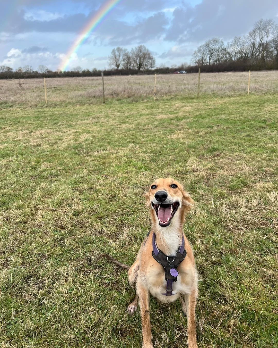 January Recap🌦️