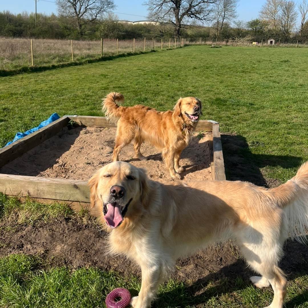 A day in the sun☀️⛱️