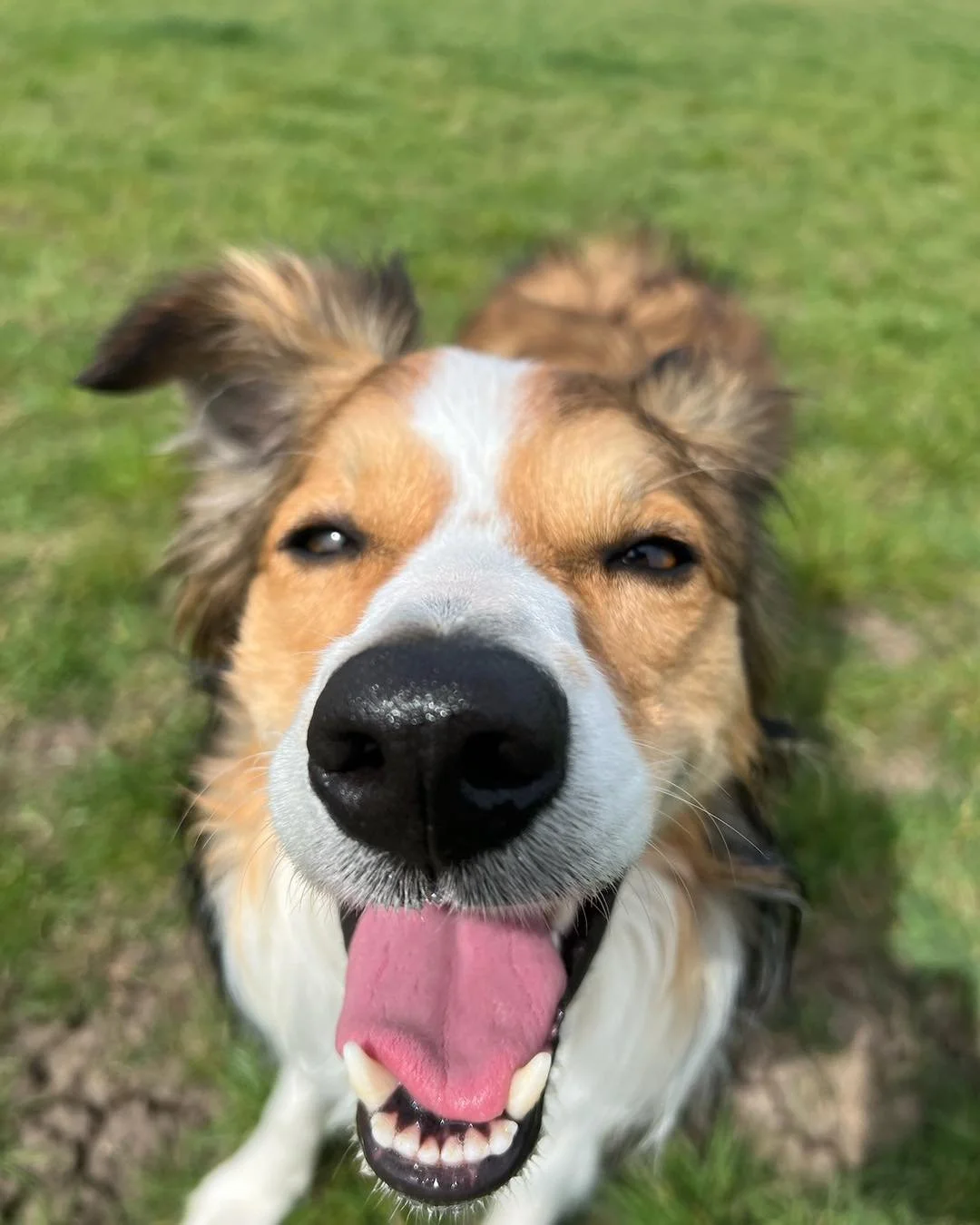 A few headshots from April so far!📸