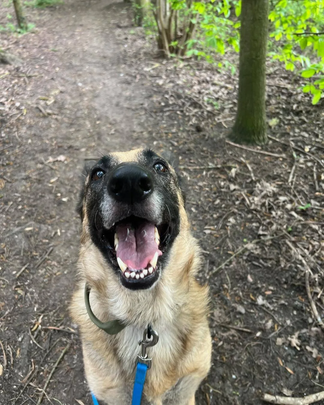 April Adventures🌷