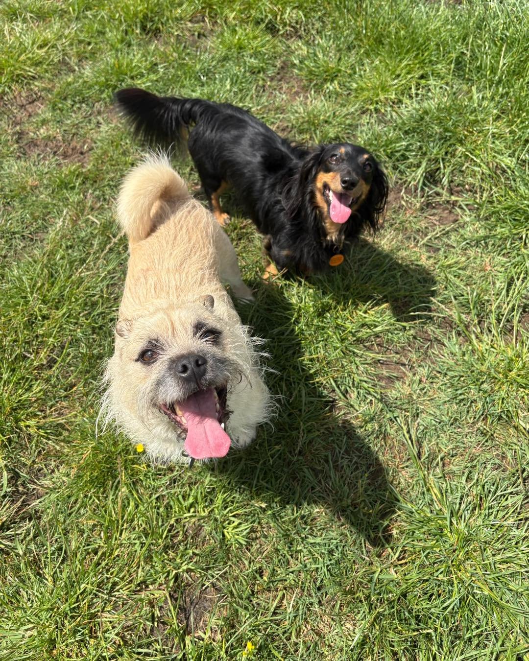 Happy Fri-YAY🥳