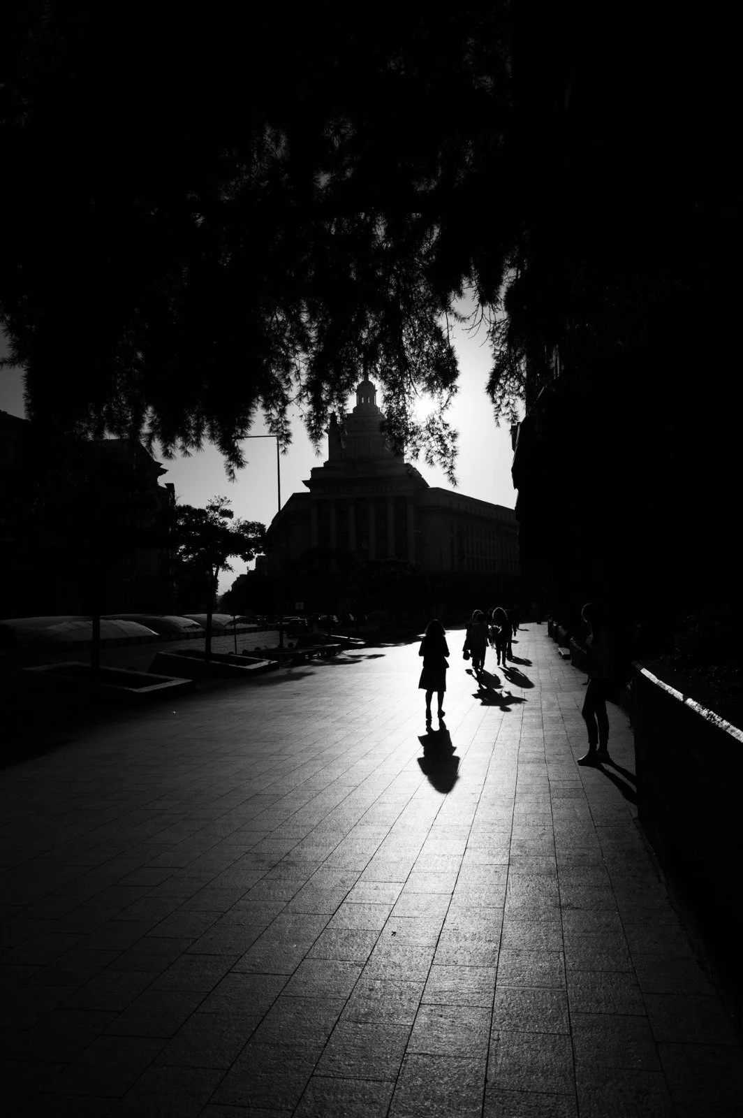 773e3c9f-d489-444b-b982-37c98b14b6c4.jpeg