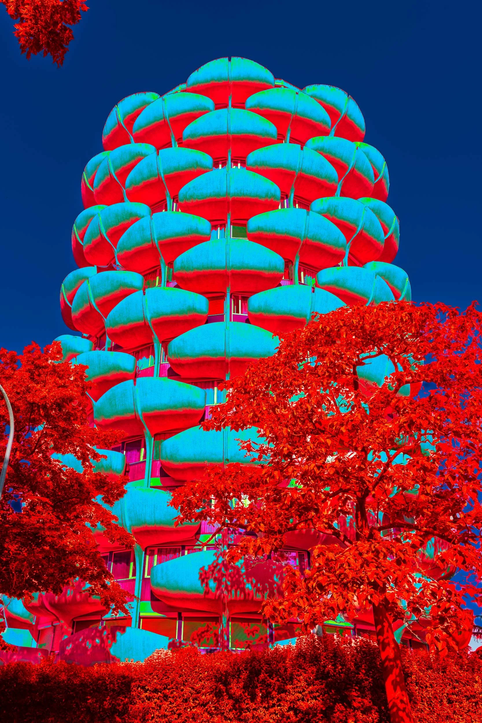 Photographie de la série Choux sublimes de Christian Goetghebeur, consacrée à l’architecture des Choux de Créteil conçue par Gérard Grandval. Vue en contre-plongée et dans les arbres des balcons aux formes organiques, interprétés par la couleur et la