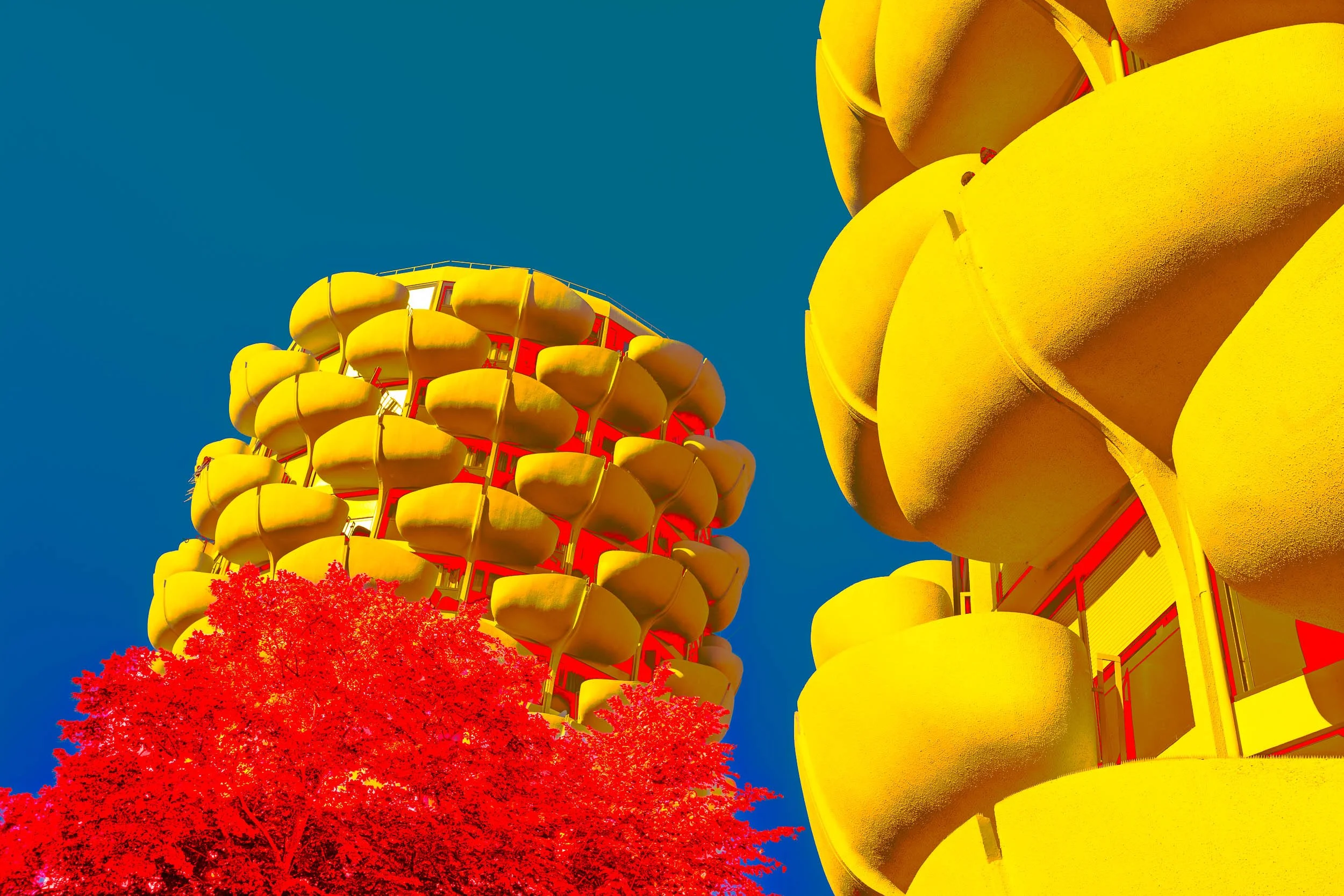 Photographie de la série Choux sublimes de Christian Goetghebeur, consacrée à l’architecture des Choux de Créteil conçue par Gérard Grandval. Vue en contre-plongée des arbres et des balcons aux formes organiques, interprétés par la couleur et la lumi