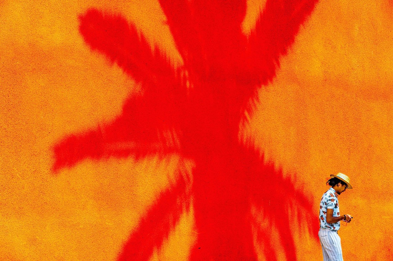 L'homme et l'ombre du palmier, Essaouira