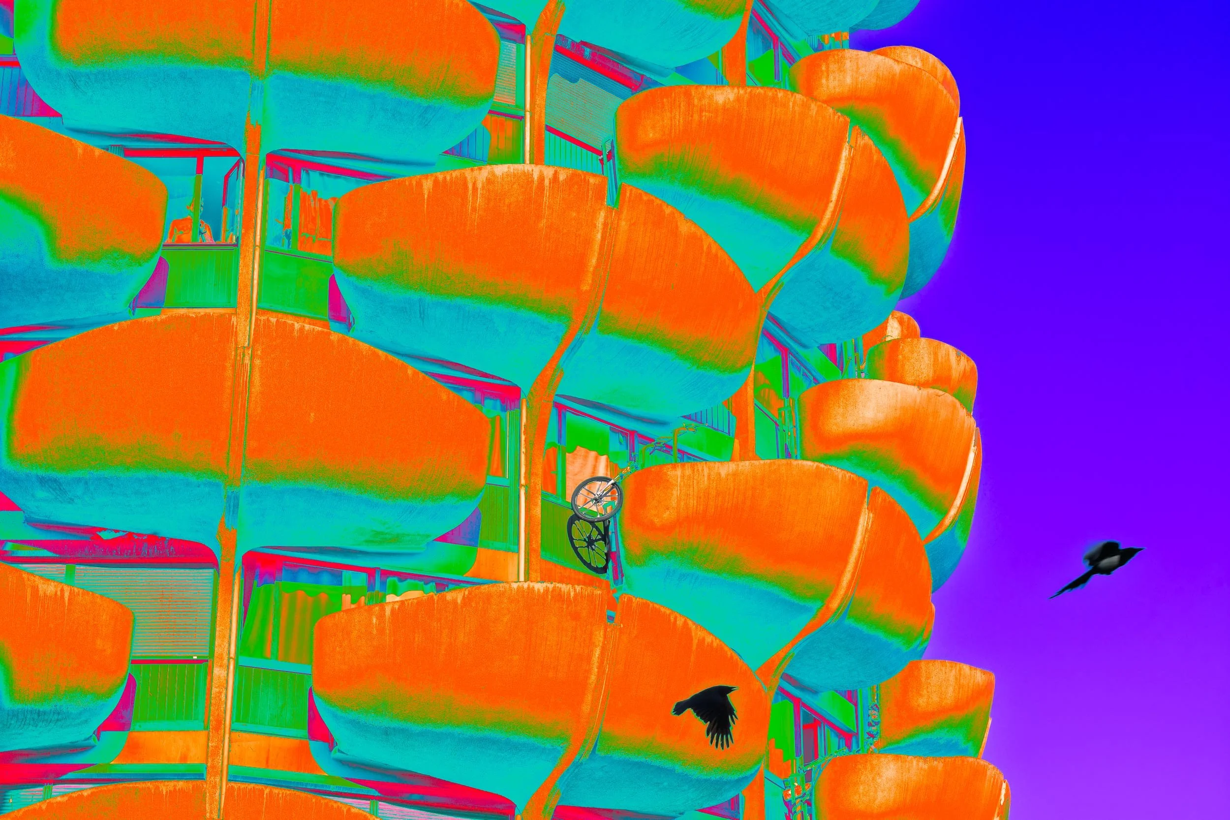 Photographie de la série Choux sublimes de Christian Goetghebeur, consacrée à l’architecture des Choux de Créteil conçue par Gérard Grandval. Vue des balcons aux formes organiques et d'oiseaux, interprétés par la couleur et la lumière.