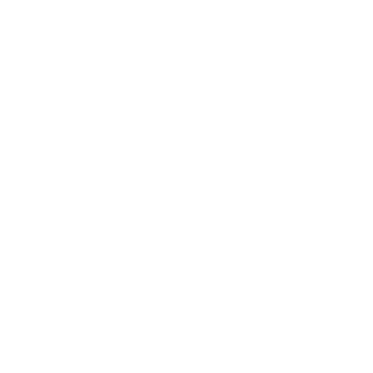 Garmin.png