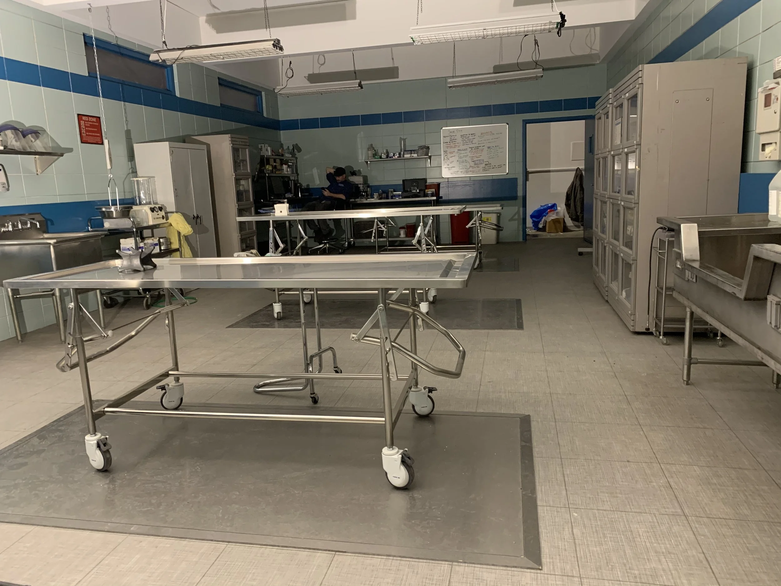 stage set-IMG_3346.jpeg