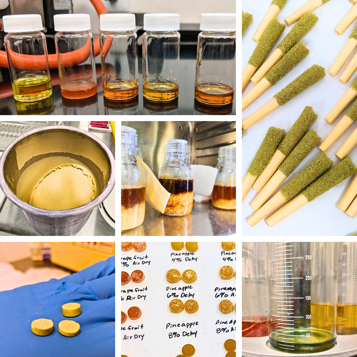 Localized Research & Development: Innovation for Local Impact: Research and development isn’t about reinventing; it’s about tailoring a product to fit. Then, establishing open-ended processes to encourage collaboration across disciplines and geograph