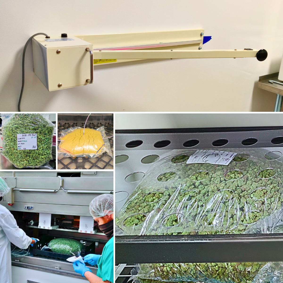 Remediation Workflow Enhancements: Wall-mounted induction sealers to attain specific package volumes for optimal RF penetration across the remediation package. Engineered custom perforated shelving to enhance airflow around sealed bags, improving pro