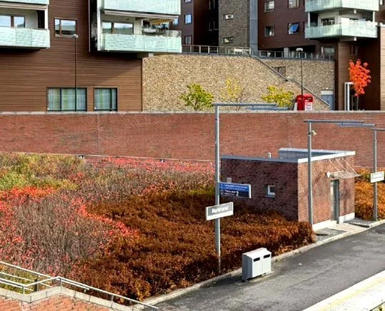 Green spaces
