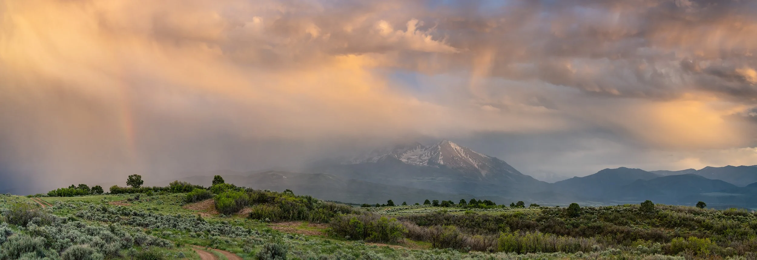 _DWP9663-Pano.jpg