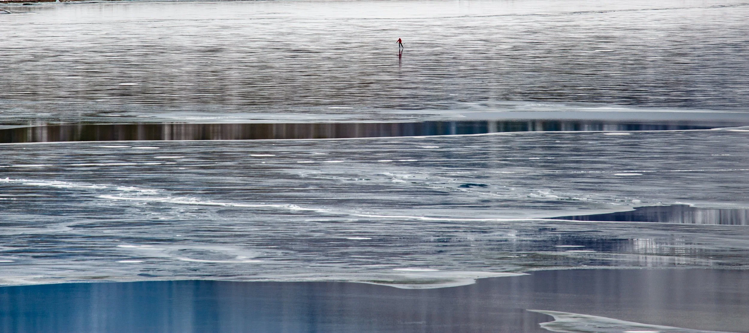 _DSC8399.jpg
