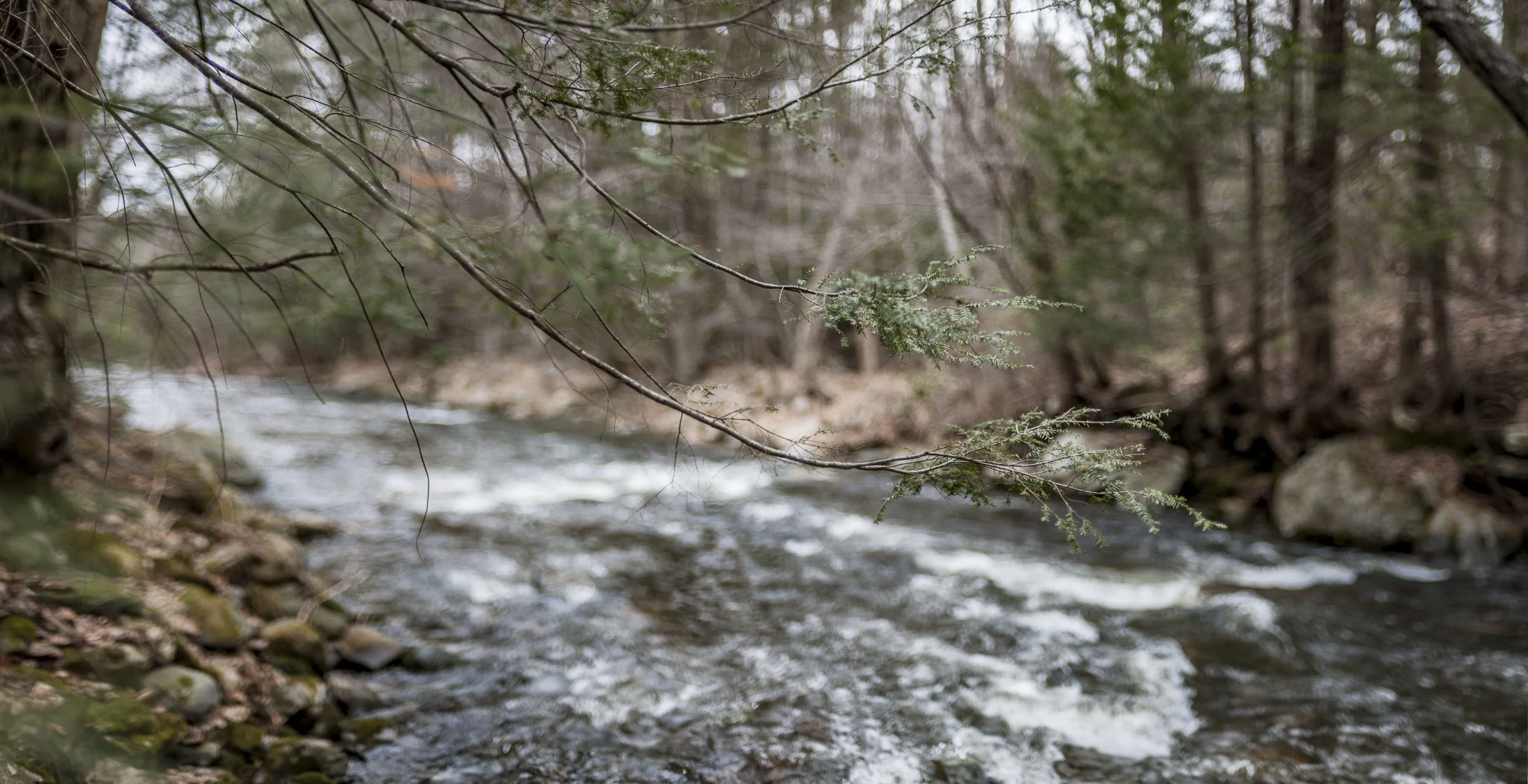 _DSC8673-Pano.jpg