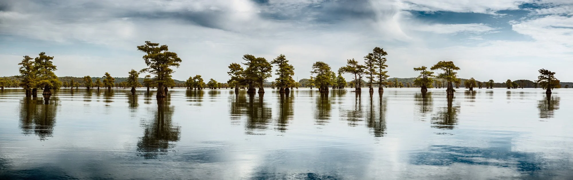 Lake_Caddo.jpg