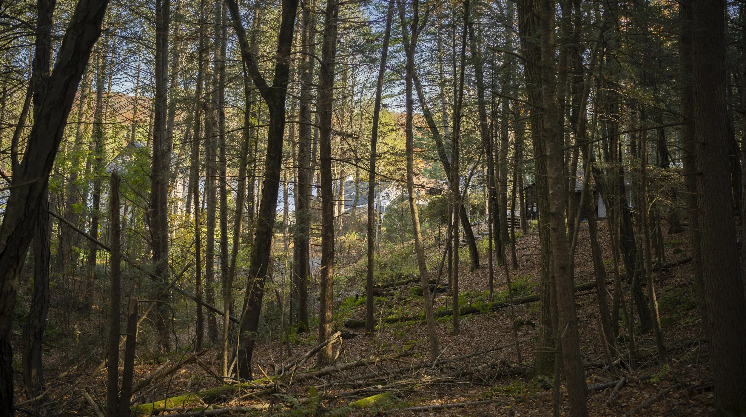 _DWP6519-HDR.jpg