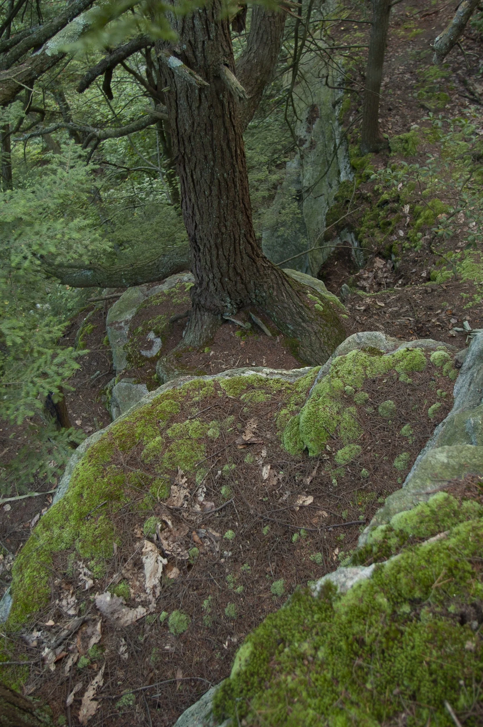 _DSC7398.jpg