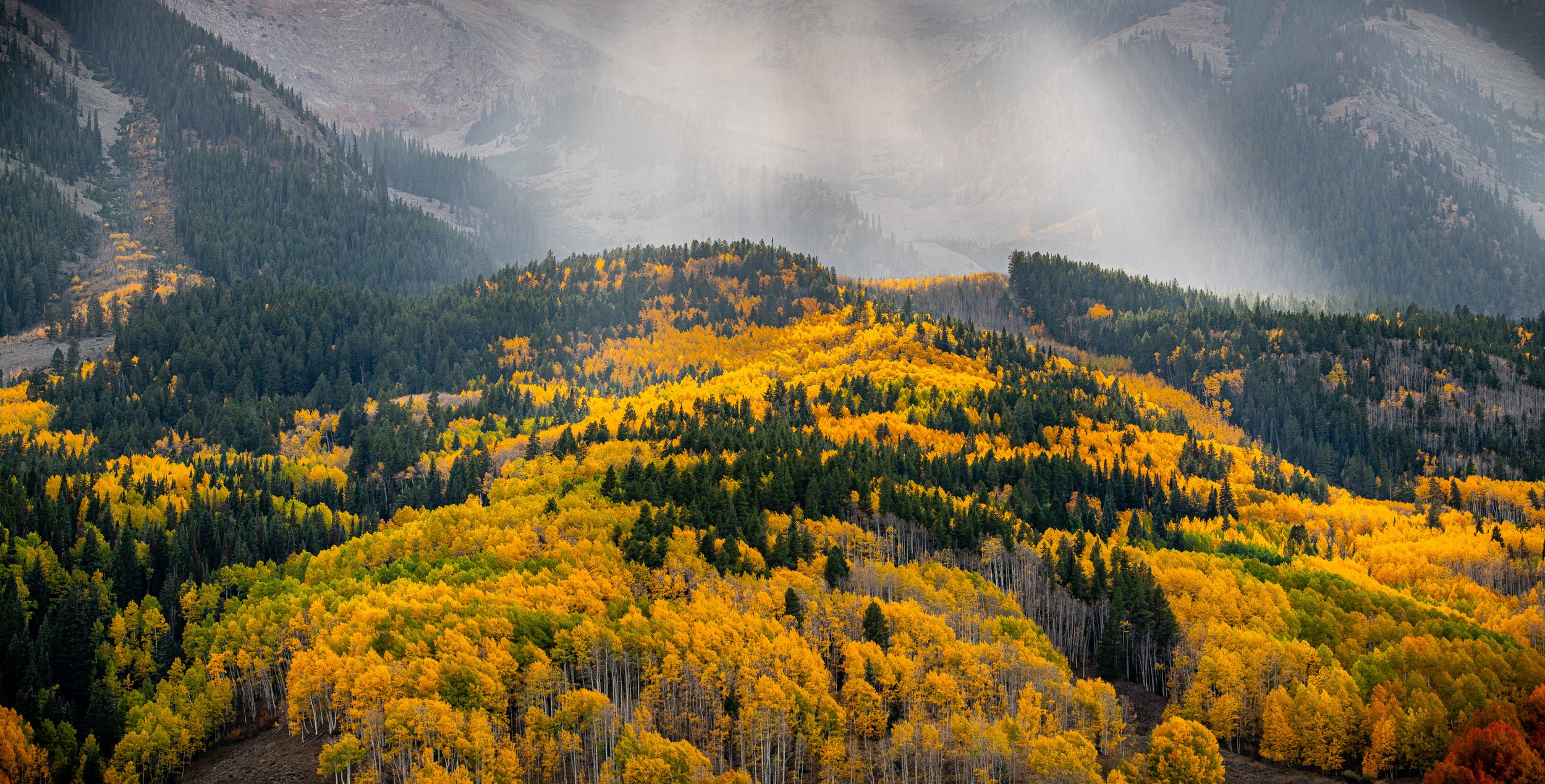 _DSC5792.jpg