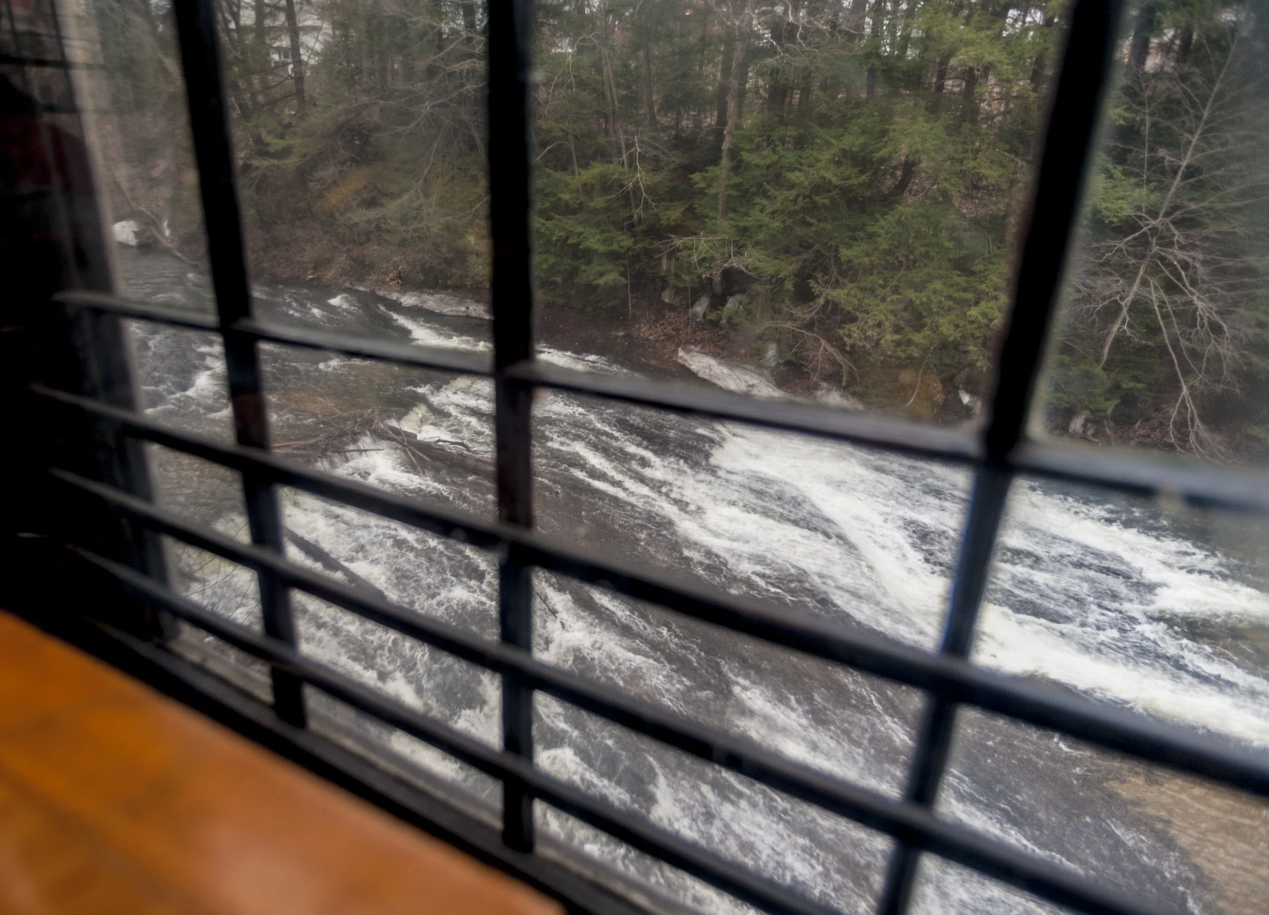 _DSC8583.jpg