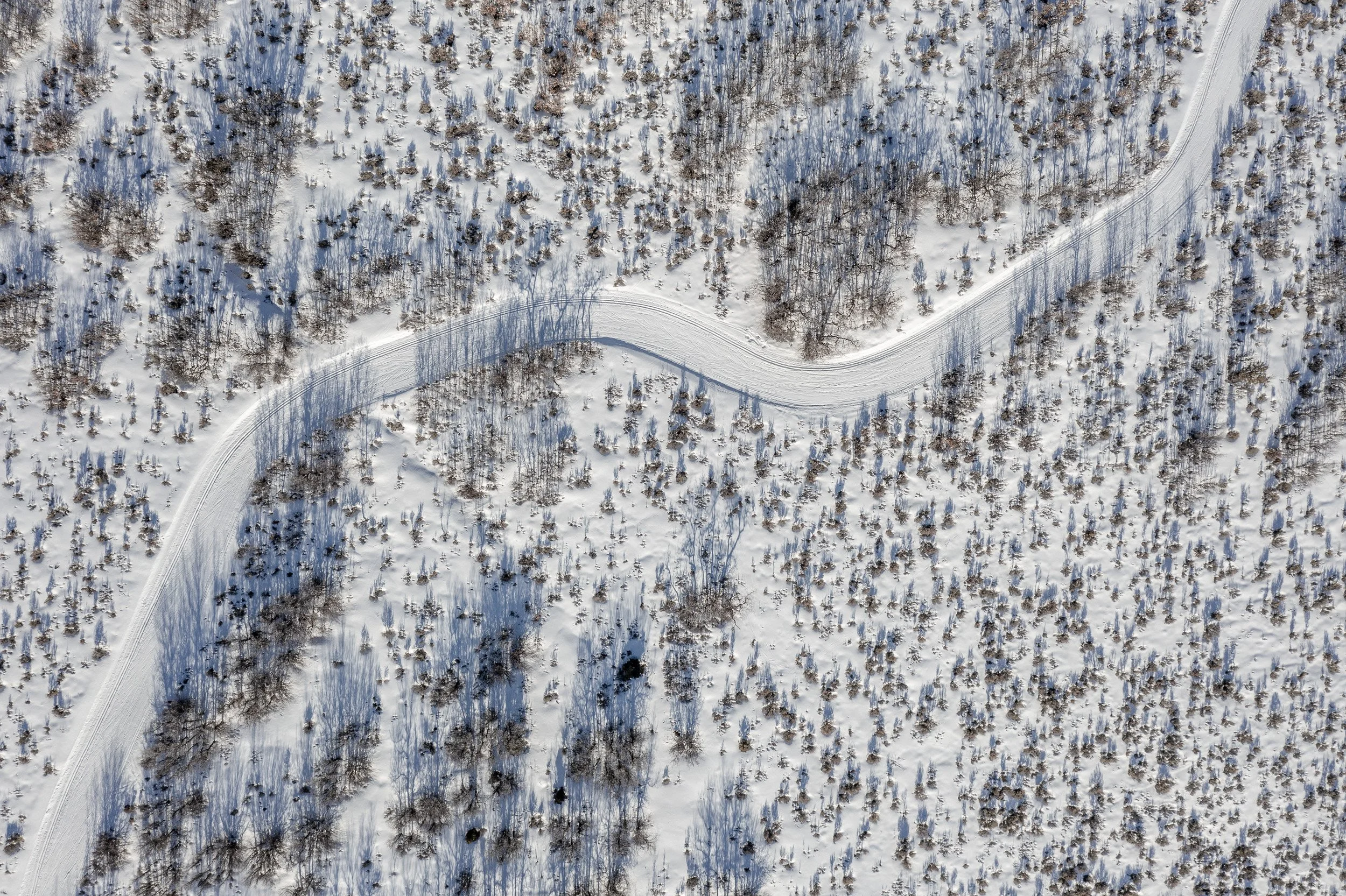 DJI_0362.jpg