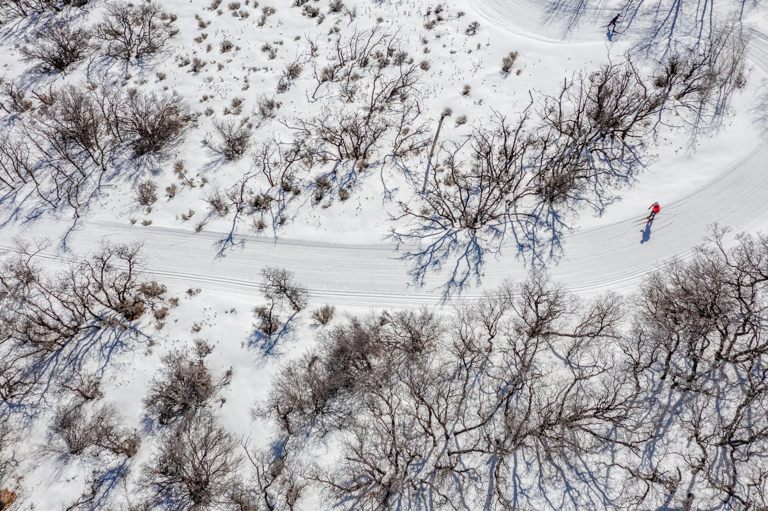DJI_0485.jpg