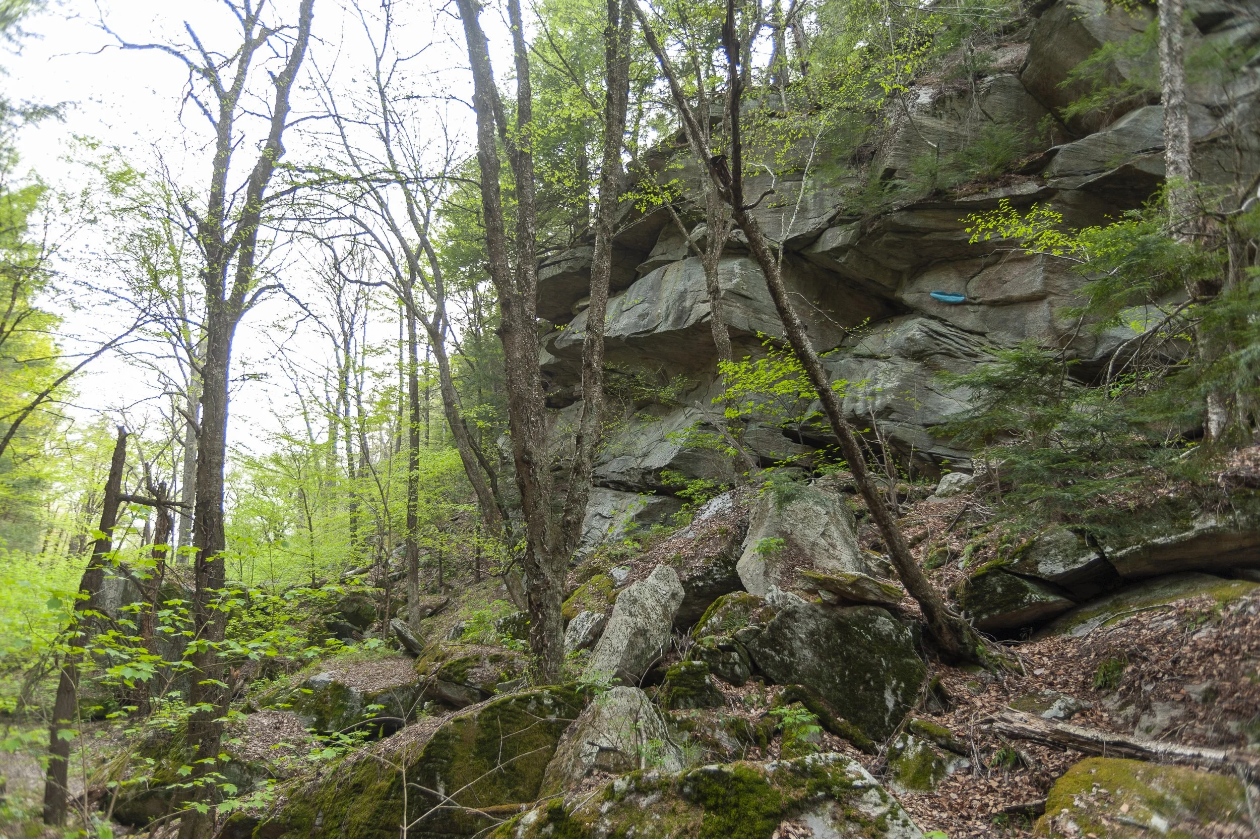 _DSC5397.jpg