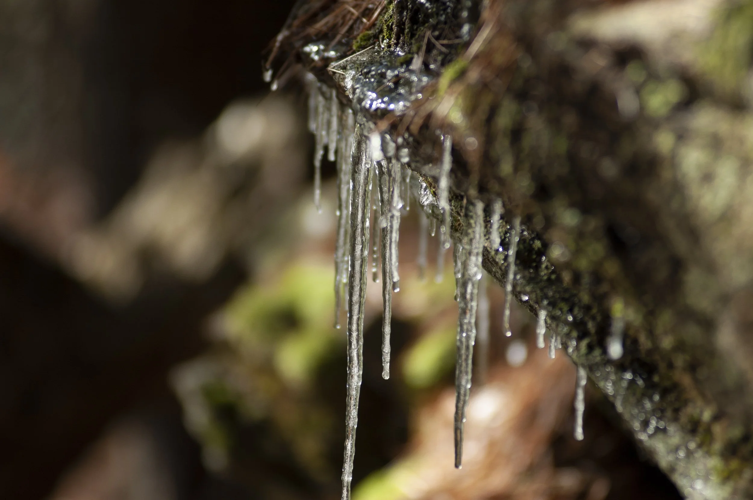 DSC_0020.jpg