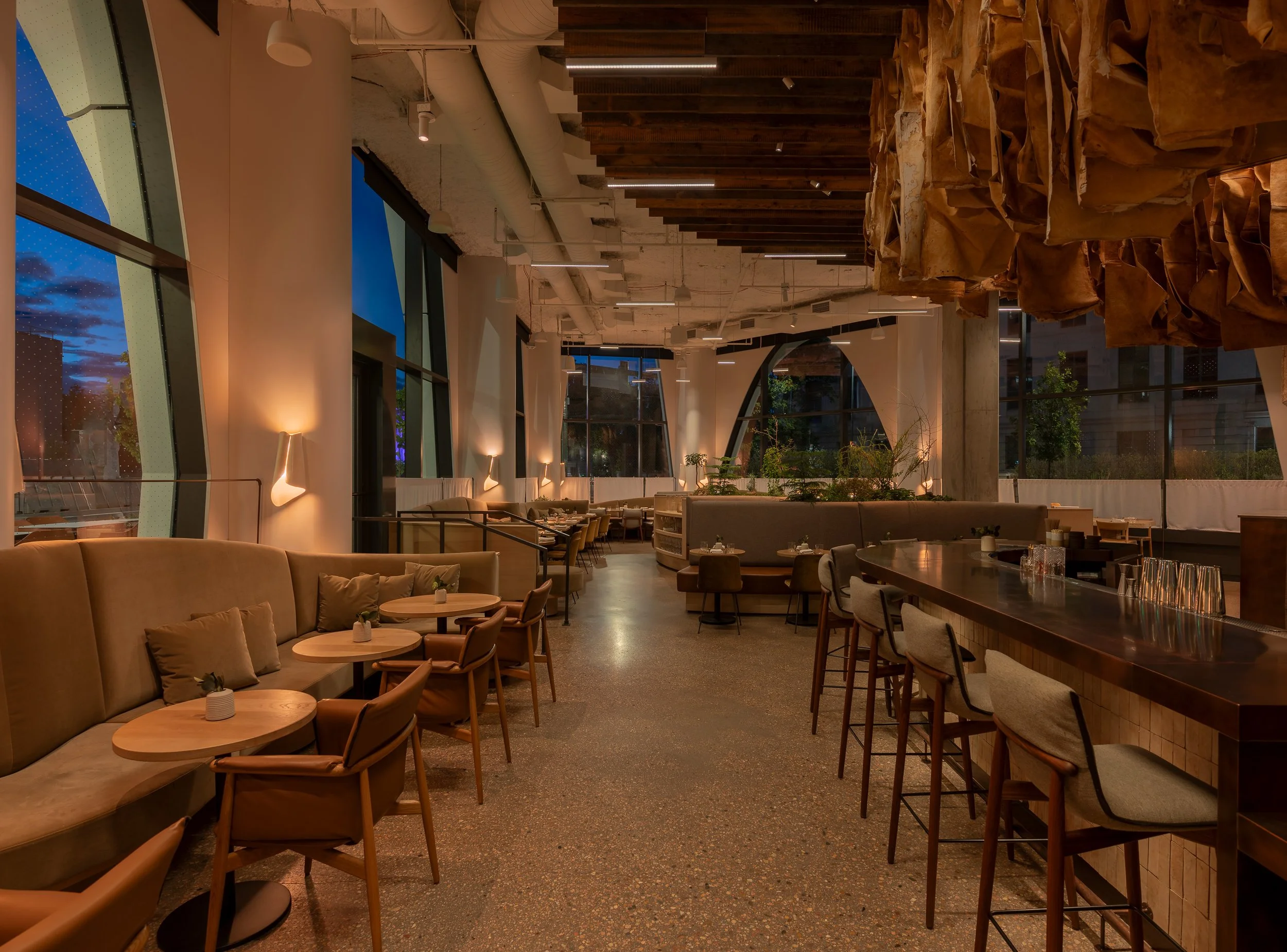 Populus_20250520-0351-HDR.jpg