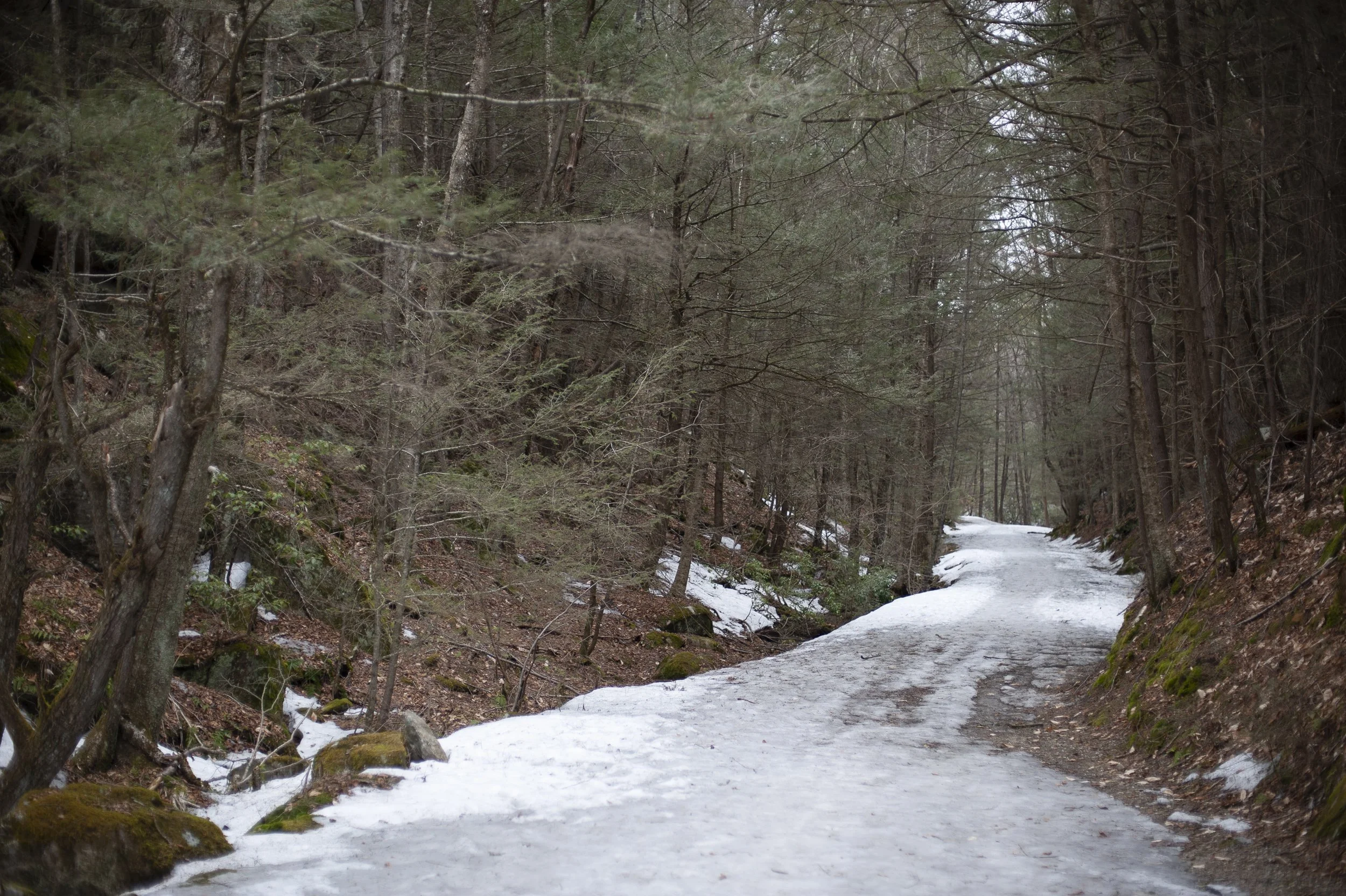 _DSC8581.jpg